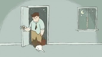 퇴근 후.gif | 인스티즈