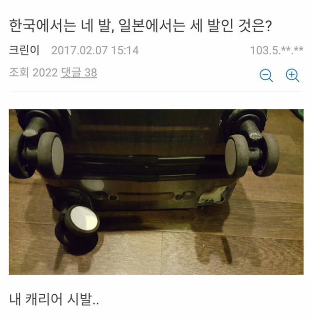 한국에서는 네 발,일본에서는 세 발인 것은? | 인스티즈