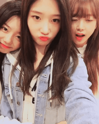 프로듀스101 예쁜애-예쁜애-예쁜애.gif | 인스티즈