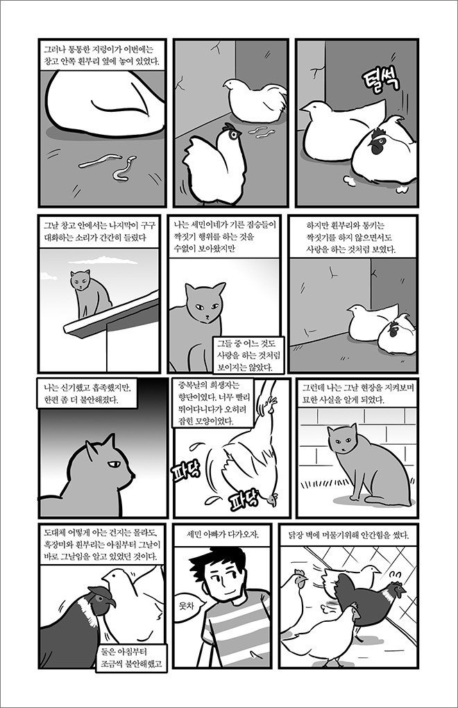 묘생만경 | 인스티즈