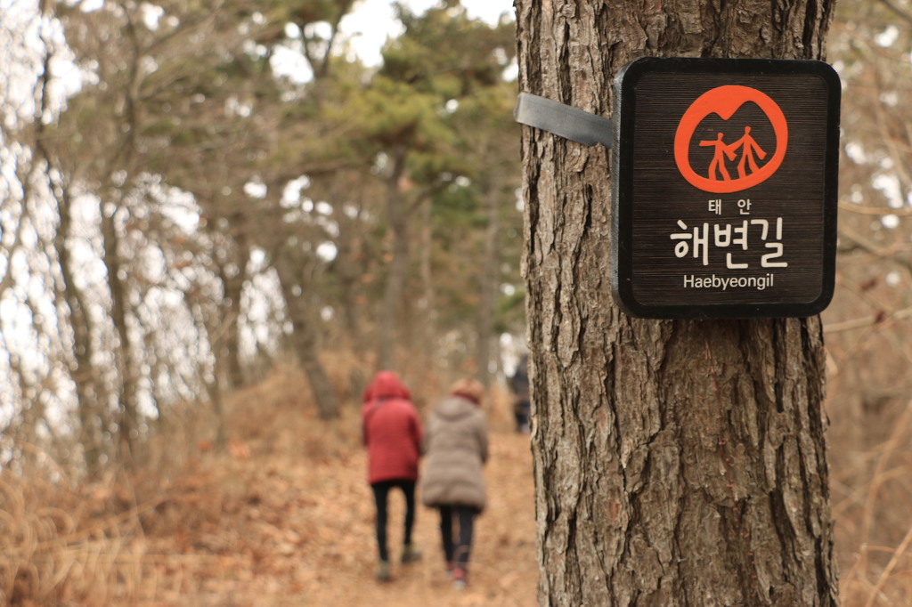 여행이좋다 이미지