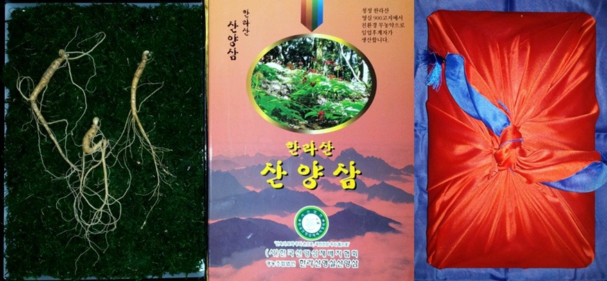 제주영실 표고버섯 이미지