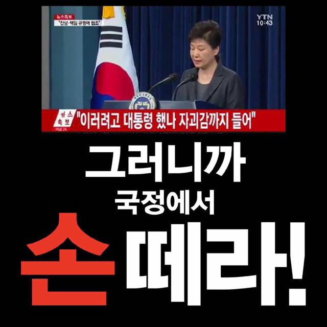 역시 전문가인 손혜원의원 클래스ㄷㄷㄷㄷ | 인스티즈