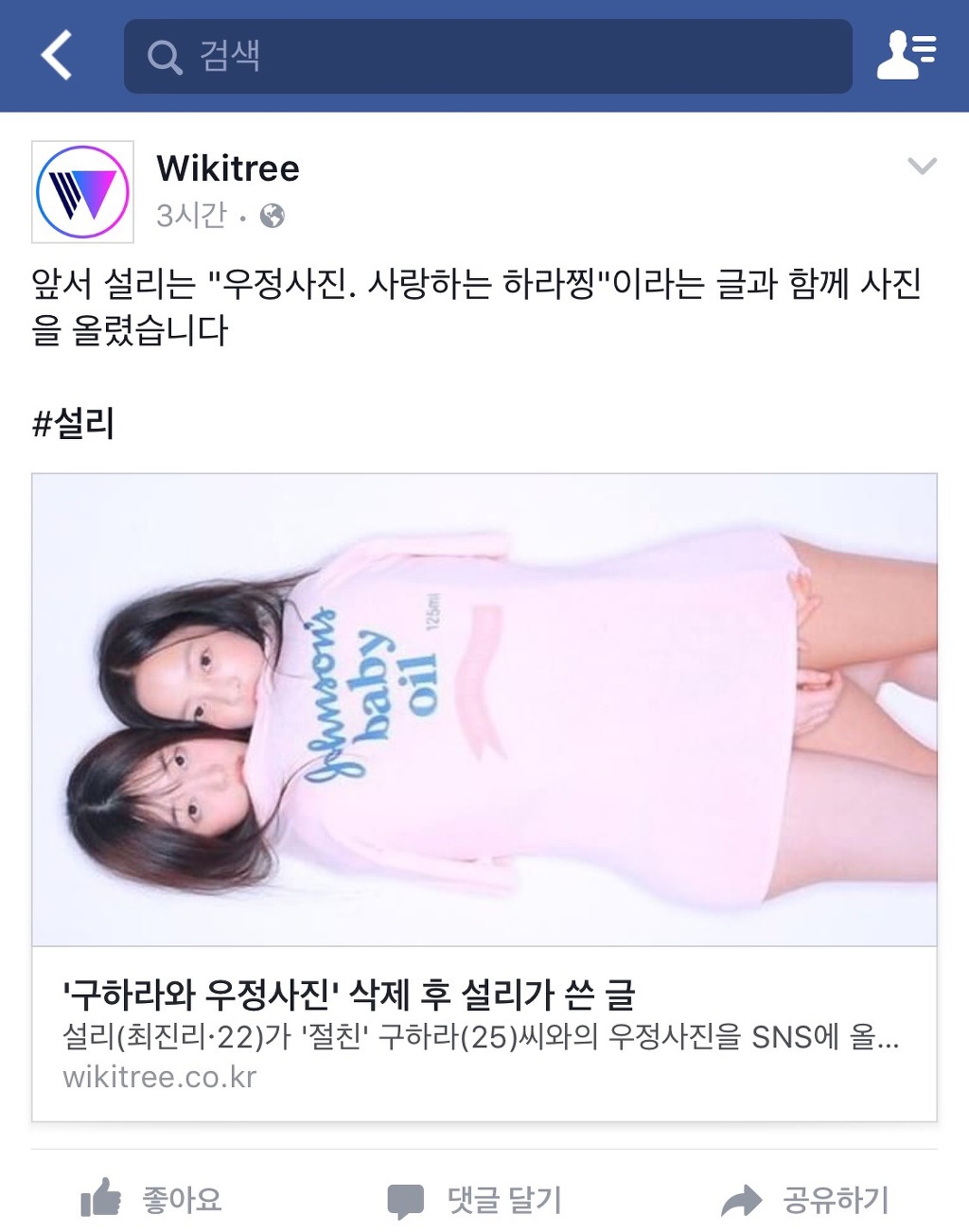 설리와 구하라가 찍은 로리타 우정사진컨셉 페북 댓글 반응.blue | 인스티즈
