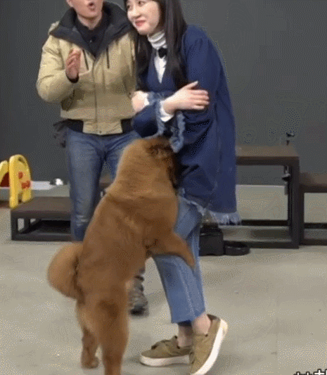 민아보고 발정난 개.gif | 인스티즈