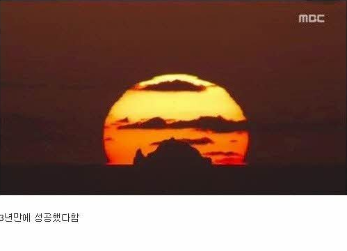 3년만에 촬영에 성공한 사진 | 인스티즈