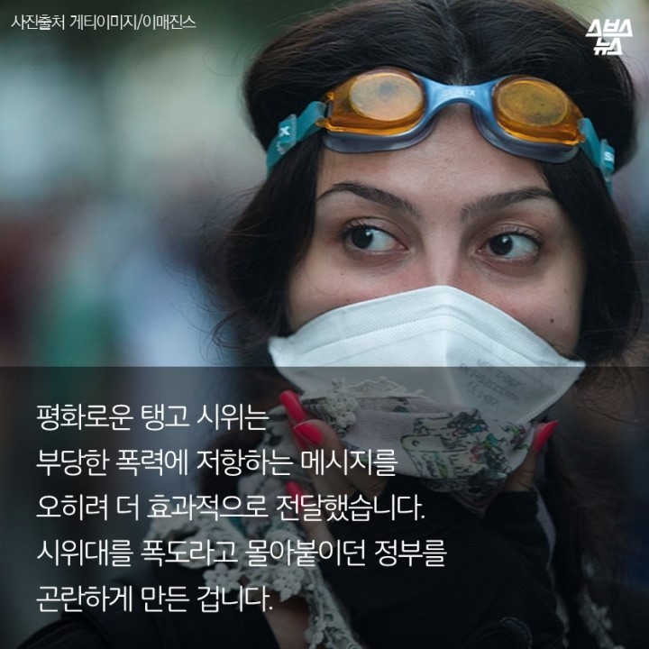  광화문 개념충 장수풍뎅이 연구회 | 인스티즈