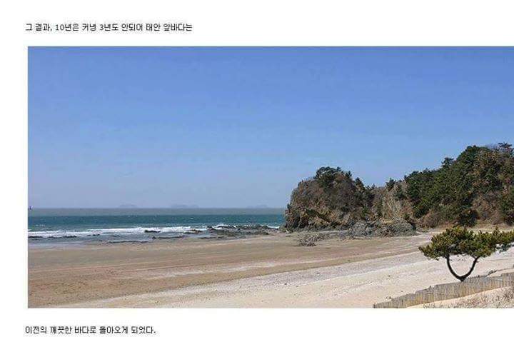 흔한 우리 국민들의 단결력 | 인스티즈