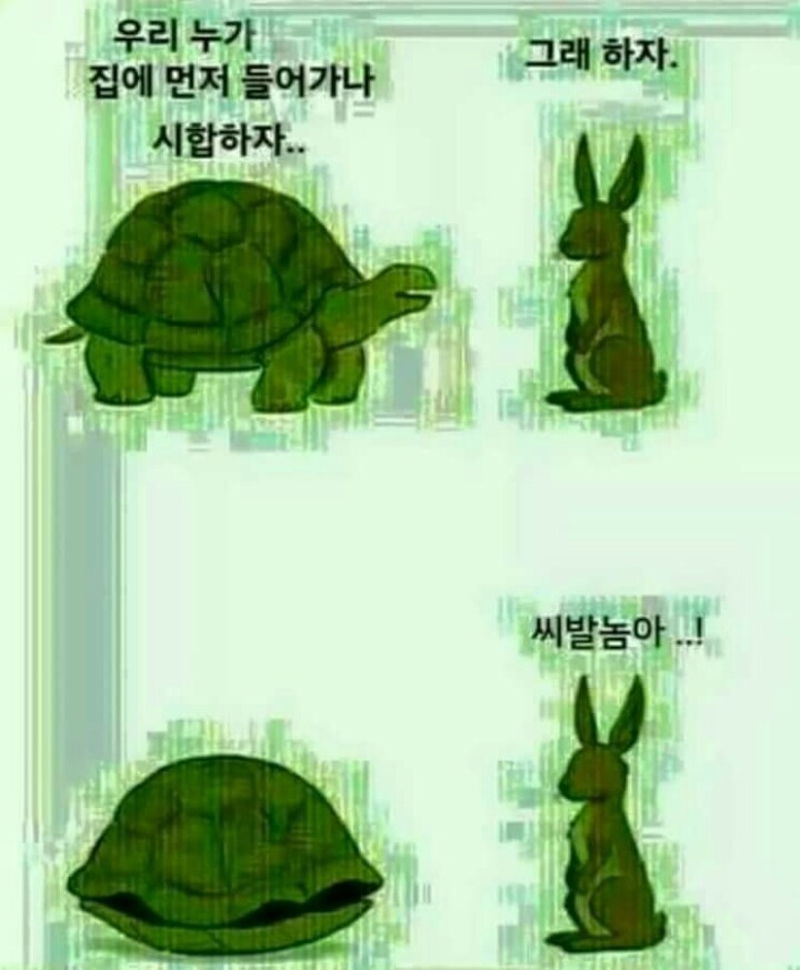 토끼와거북이 이미지