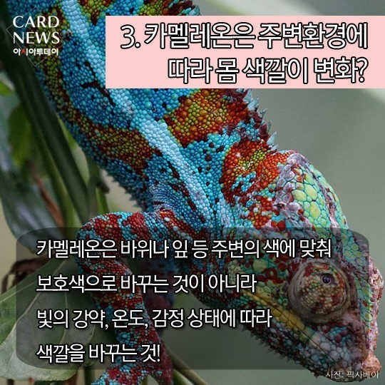 우리가 잘못 알고 있는 상식들 10가지 | 인스티즈