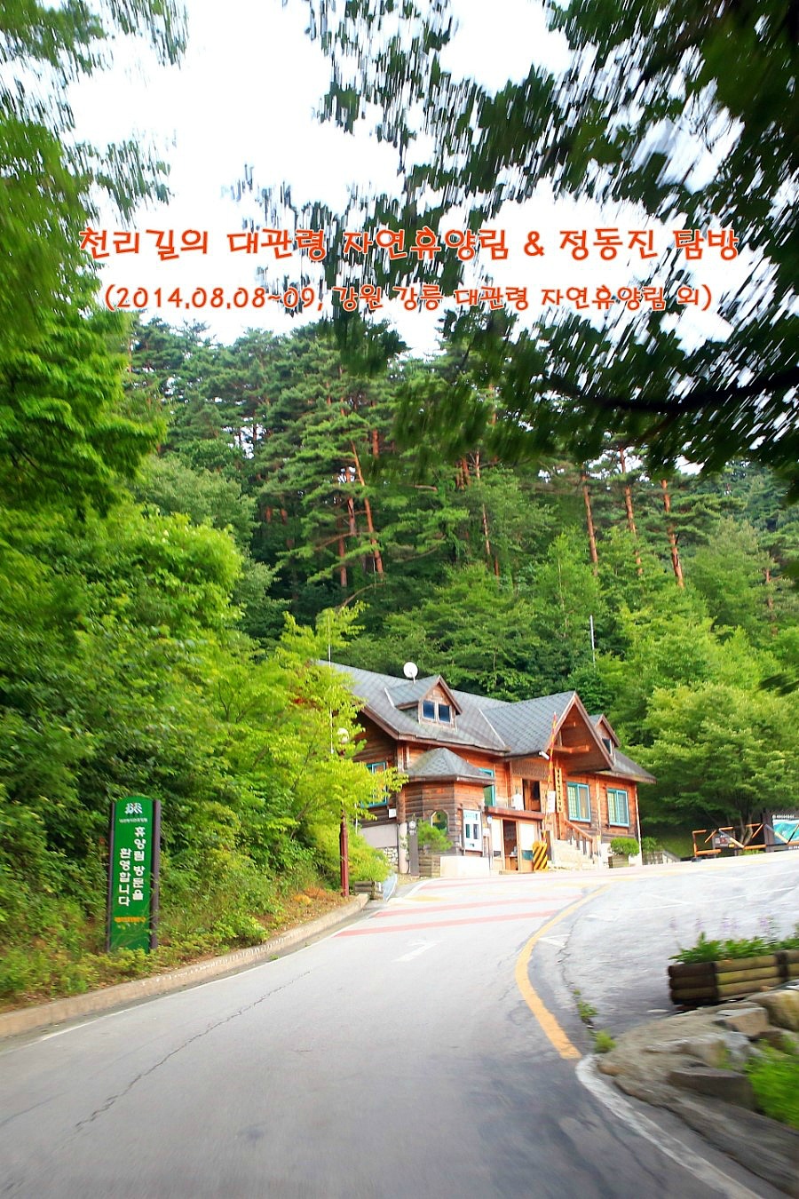 대관령자연휴양림 이미지