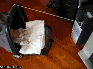 아빠랑 놀아주는 아가들 ㅋㅋㅋ | 인스티즈