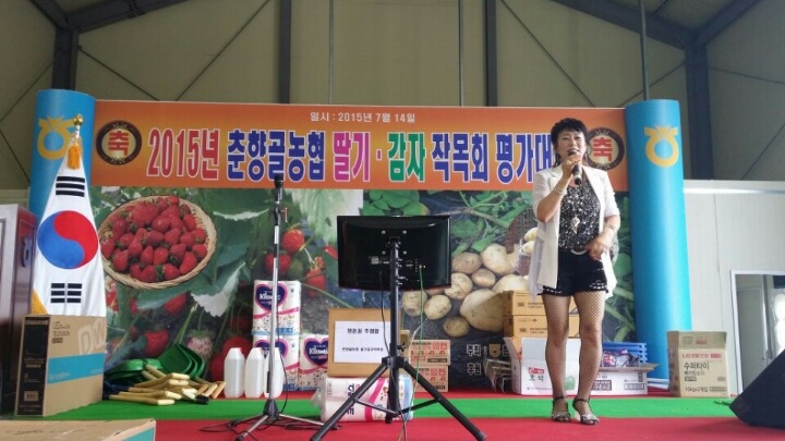 순정감자 이미지