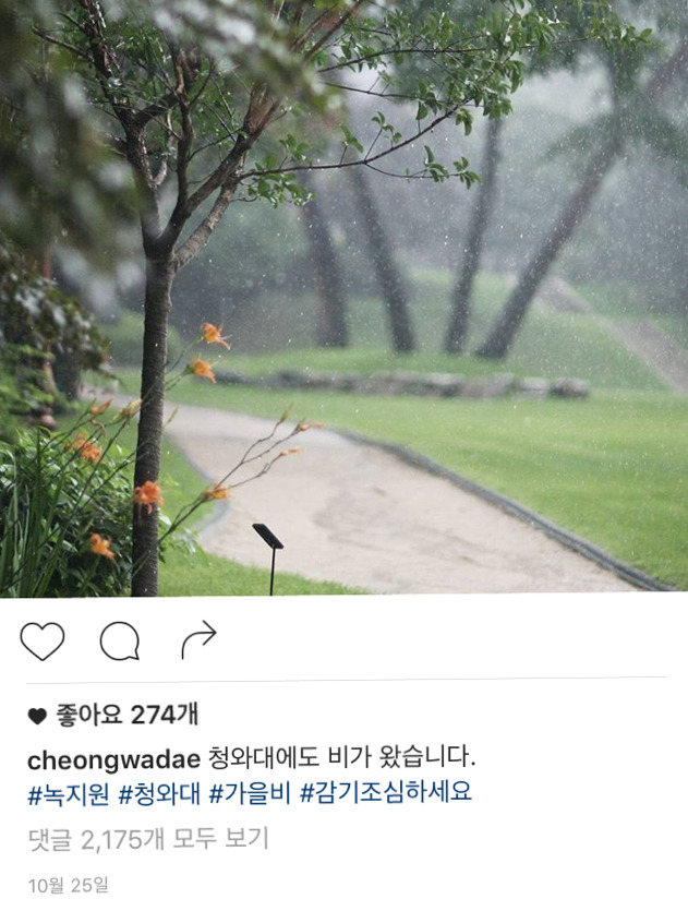 청와대 인스타 | 인스티즈