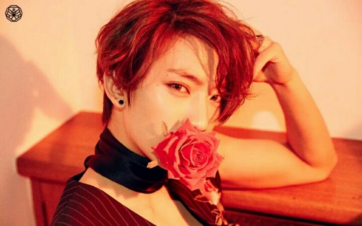 수니 이미지
