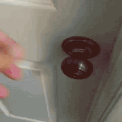 퇴근 후 고양이와 개 반응.gif | 인스티즈