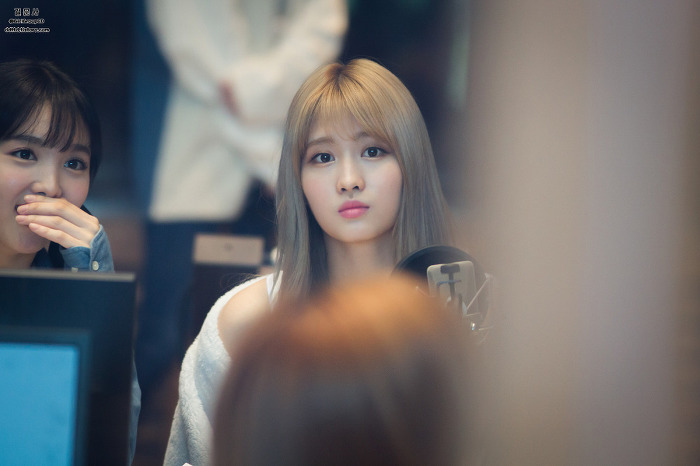 정오의 희망곡 트와이스 | 인스티즈