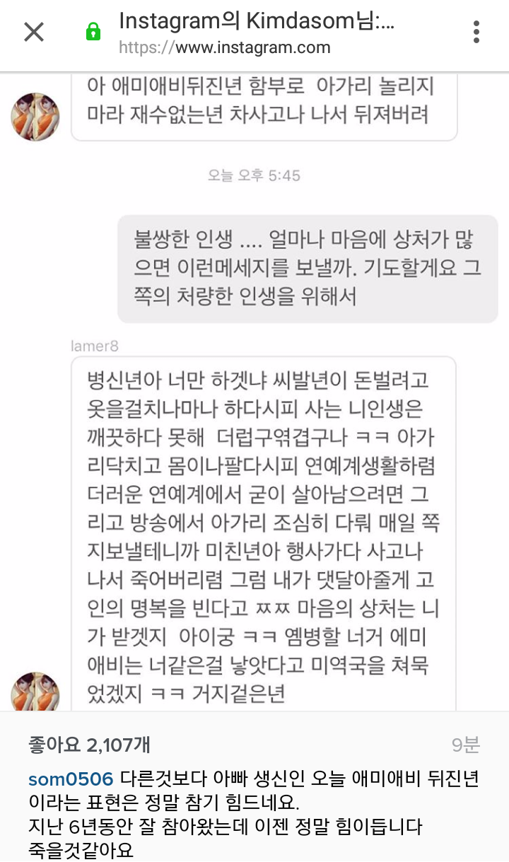 씨스타 다솜 인스타, 심각한 악플.jpg | 인스티즈