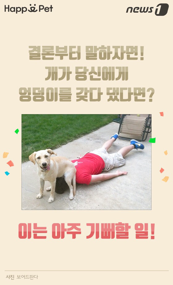 멍멍이가 펑퍼짐한 엉덩이를 들이민다고요? | 인스티즈