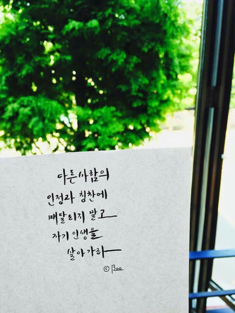 드림트리 이미지