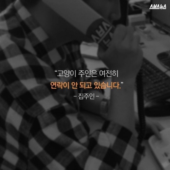 버려진 고양이 40마리 | 인스티즈