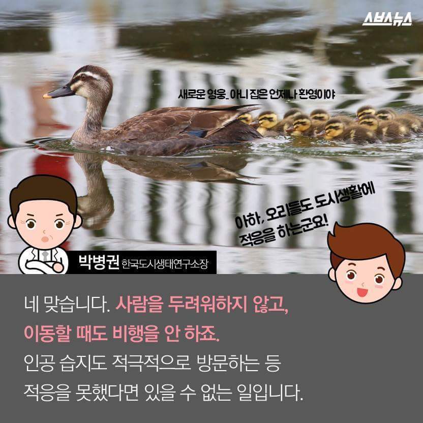 당신은 당신의 이웃을 사랑하십니까? | 인스티즈