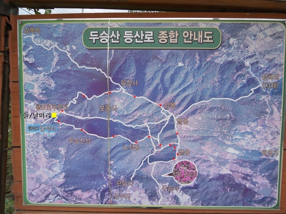 정읍장갑 이미지