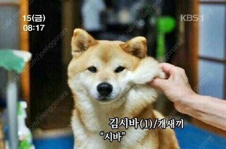 우리다음 이미지
