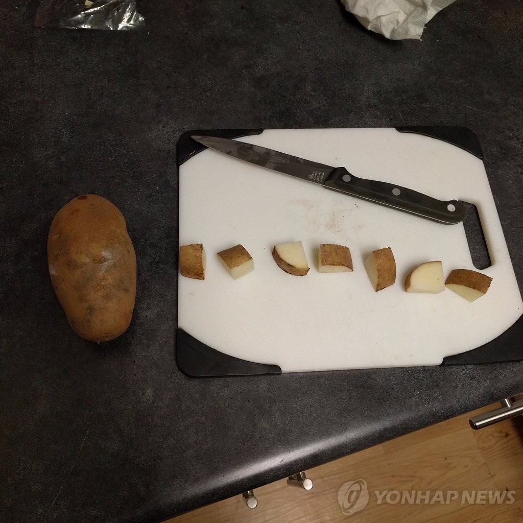 감자로 표현한 디즈니 공주들.jpg | 인스티즈