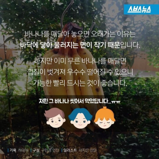 바나나 한 개를 세 명이 똑같이 나눠먹으려면? | 인스티즈