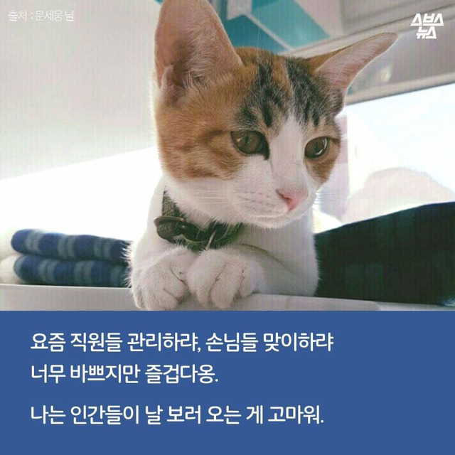 편순이 처음 보냥? | 인스티즈