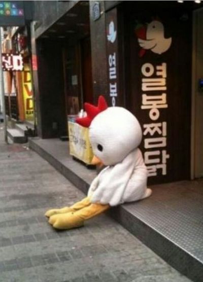 꼬끼오 이미지