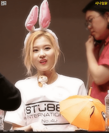 [트와이스] 큐트력만렙인 햄찌 사나 | 인스티즈