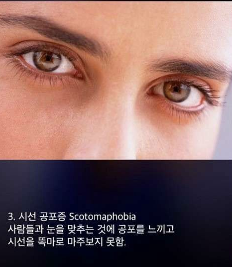 공포증 종류 | 인스티즈