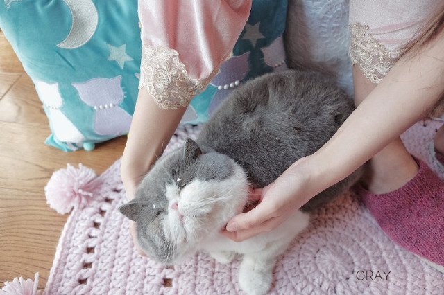 인형이 아니다옹~ (-ㅅ-)♡.jpg | 인스티즈