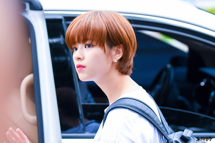 트와이스 정연 | 인스티즈