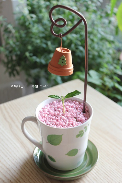 커피와나무 이미지