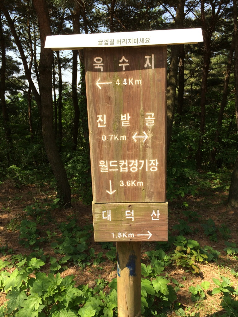 솔밭정 이미지