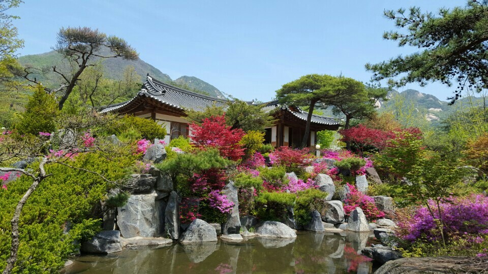 전*원 이미지