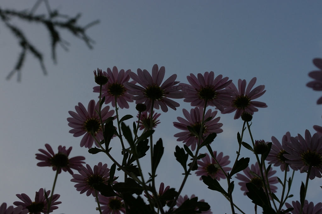 22597D40525E8826153C7A