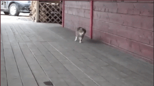 가정교육이 중요한 이유.gif | 인스티즈