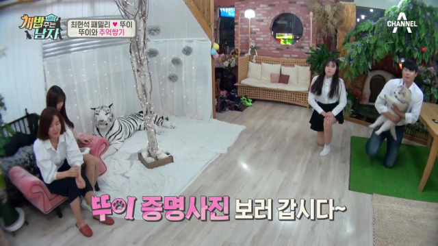 겁나 귀여운 최현석 셰프 강아지 뚜이(오드아이 시베리안 허스키).jpg | 인스티즈