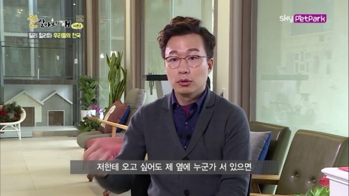 사람에 대한 트라우마가 있는 강아지 딜리 | 인스티즈