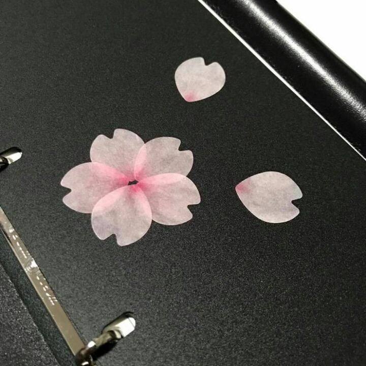 벚꽃 마스킹테이프 | 인스티즈
