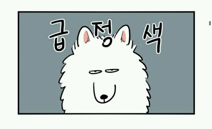 대형견 키우는 사람 공감 | 인스티즈