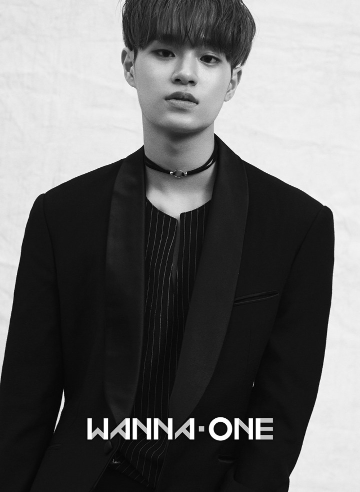 응 이미지