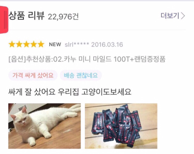 맥락없는 고양이 자랑.jpg | 인스티즈