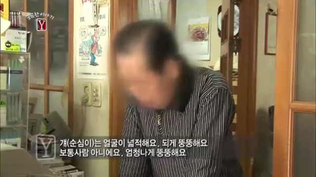 개인적으로 기억에 남았던 궁금한 이야기y 순정남 에피소드 (2) | 인스티즈