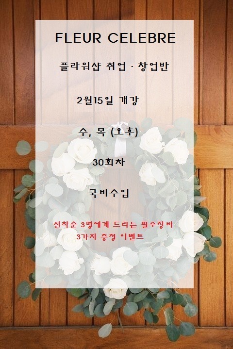 플레어셀레브 이미지