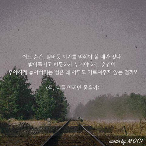 너는 나에게 집이었고 | 인스티즈